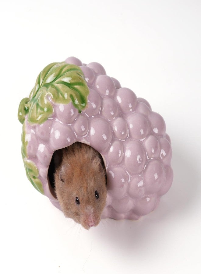 Deapeey Ceramic Hamster Hideout,Grape Dwarf Hamster House,Guinea Pig Habitat Decor, Hideaway House for Gerbil, Cool Bed for All Season - Image 1